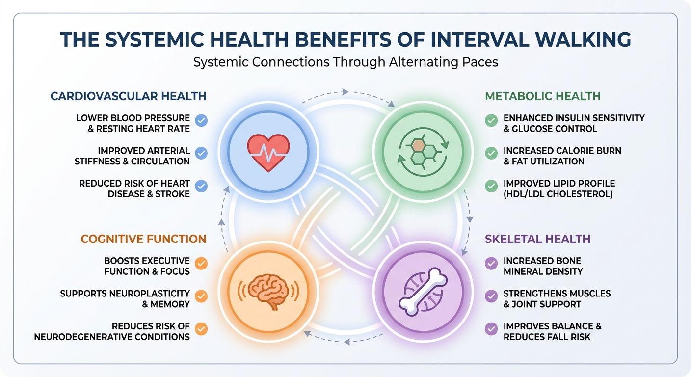 Comparison showing health benefits across cardiovascular, metabolic, cognitive, and skeletal systems