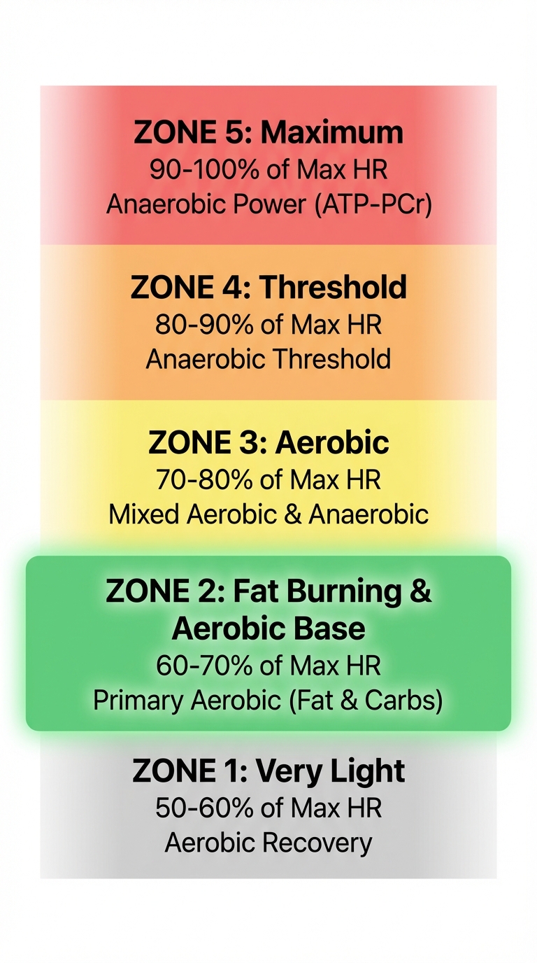 Infographic showing exercise heart rate zones from zone one through zone five